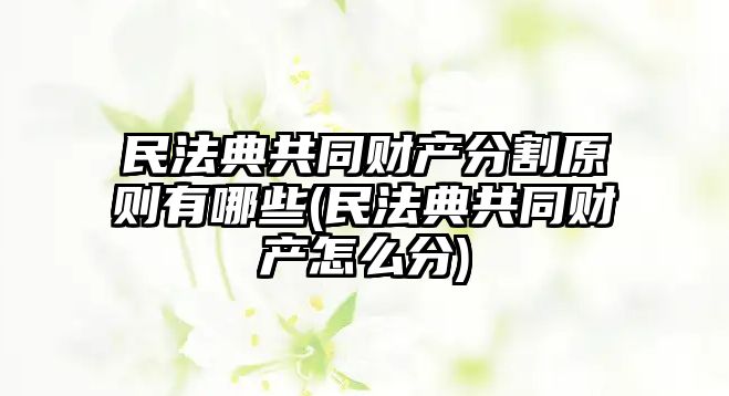 民法典共同財產分割原則有哪些(民法典共同財產怎么分)