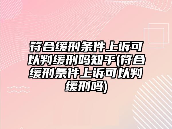 符合緩刑條件上訴可以判緩刑嗎知乎(符合緩刑條件上訴可以判緩刑嗎)