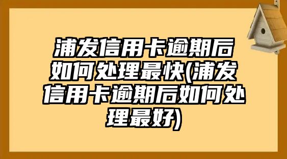 浦發(fā)信用卡逾期后如何處理最快(浦發(fā)信用卡逾期后如何處理最好)