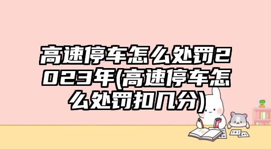 高速停車怎么處罰2023年(高速停車怎么處罰扣幾分)