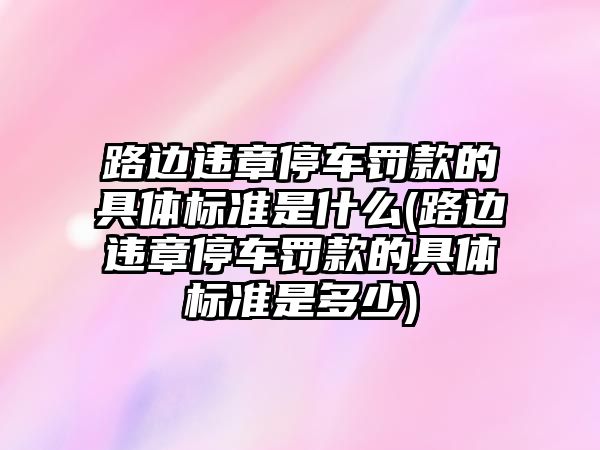 路邊違章停車罰款的具體標準是什么(路邊違章停車罰款的具體標準是多少)