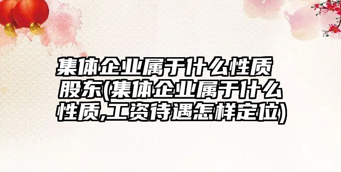 集體企業屬于什么性質 股東(集體企業屬于什么性質,工資待遇怎樣定位)