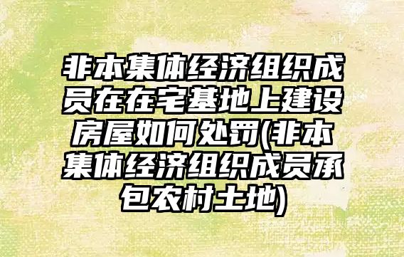 非本集體經(jīng)濟組織成員在在宅基地上建設(shè)房屋如何處罰(非本集體經(jīng)濟組織成員承包農(nóng)村土地)