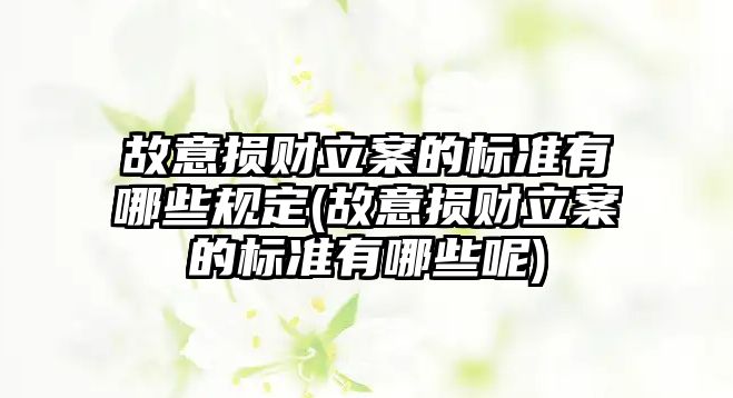 故意損財立案的標準有哪些規(guī)定(故意損財立案的標準有哪些呢)