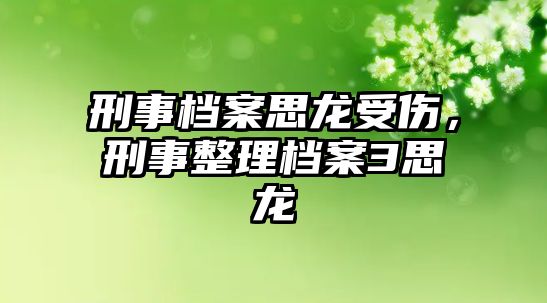 刑事檔案思龍受傷，刑事整理檔案3思龍