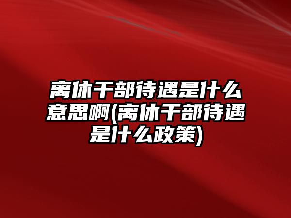 離休干部待遇是什么意思啊(離休干部待遇是什么政策)