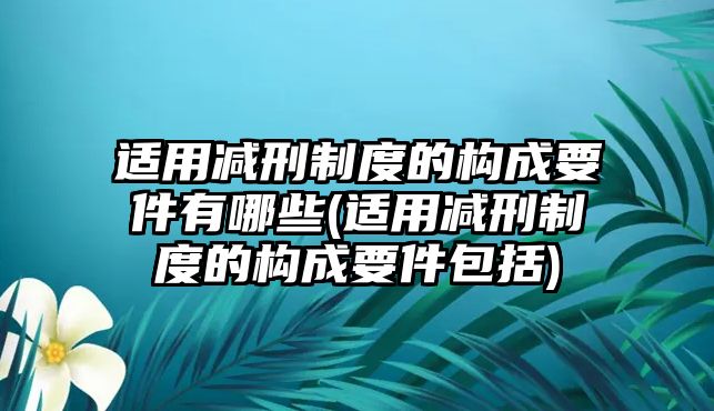 適用減刑制度的構成要件有哪些(適用減刑制度的構成要件包括)