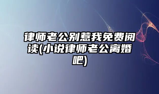 律師老公別惹我免費閱讀(小說律師老公離婚吧)