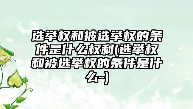 選舉權和被選舉權的條件是什么權利(選舉權和被選舉權的條件是什么-)