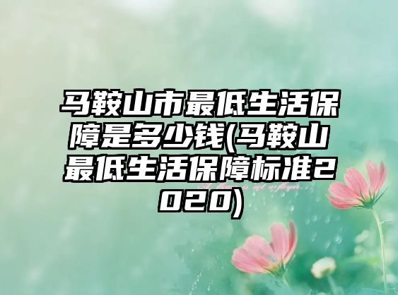 馬鞍山市最低生活保障是多少錢(馬鞍山最低生活保障標準2020)