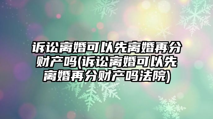 訴訟離婚可以先離婚再分財產(chǎn)嗎(訴訟離婚可以先離婚再分財產(chǎn)嗎法院)