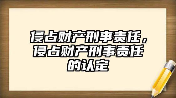 侵占財產刑事責任，侵占財產刑事責任的認定