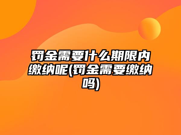 罰金需要什么期限內繳納呢(罰金需要繳納嗎)