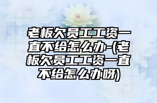 老板欠員工工資一直不給怎么辦-(老板欠員工工資一直不給怎么辦呀)