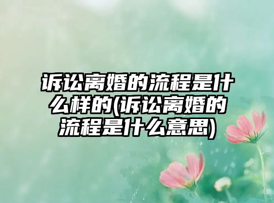 訴訟離婚的流程是什么樣的(訴訟離婚的流程是什么意思)