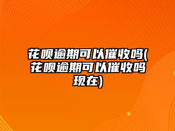 花唄逾期可以催收嗎(花唄逾期可以催收嗎現(xiàn)在)