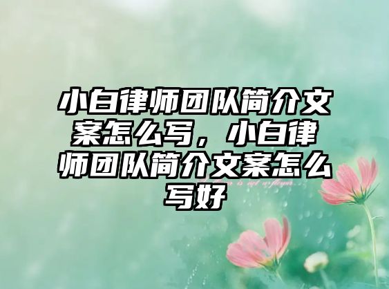 小白律師團隊簡介文案怎么寫，小白律師團隊簡介文案怎么寫好