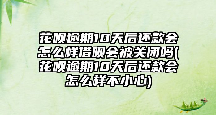 花唄逾期10天后還款會怎么樣借唄會被關閉嗎(花唄逾期10天后還款會怎么樣不小心)