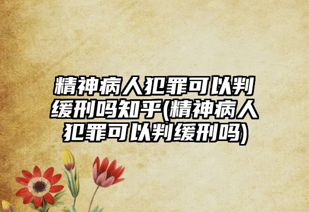 精神病人犯罪可以判緩刑嗎知乎(精神病人犯罪可以判緩刑嗎)