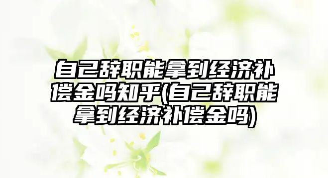 自己辭職能拿到經(jīng)濟(jì)補(bǔ)償金嗎知乎(自己辭職能拿到經(jīng)濟(jì)補(bǔ)償金嗎)