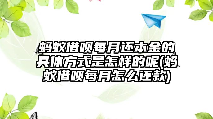 螞蟻借唄每月還本金的具體方式是怎樣的呢(螞蟻借唄每月怎么還款)