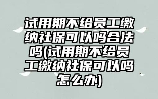 試用期不給員工繳納社保可以嗎合法嗎(試用期不給員工繳納社保可以嗎怎么辦)