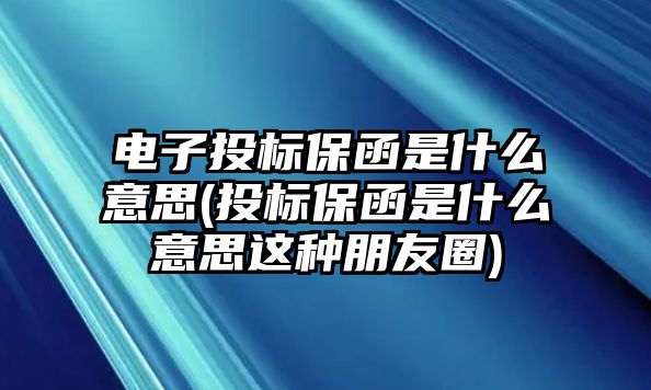 電子投標(biāo)保函是什么意思(投標(biāo)保函是什么意思這種朋友圈)