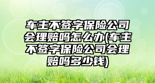 車主不簽字保險公司會理賠嗎怎么辦(車主不簽字保險公司會理賠嗎多少錢)