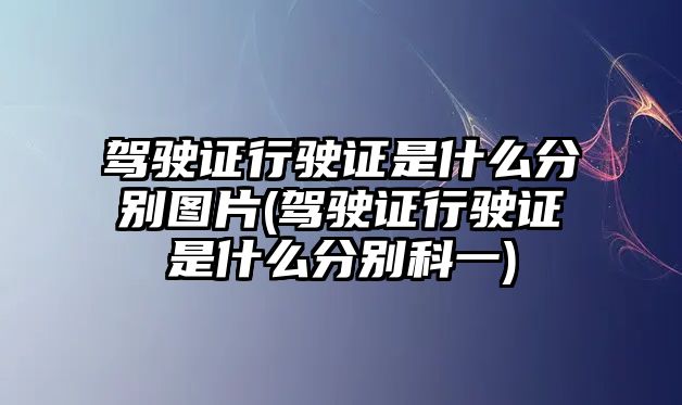 駕駛證行駛證是什么分別圖片(駕駛證行駛證是什么分別科一)