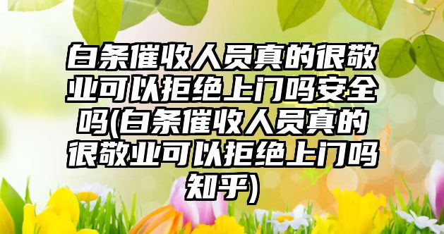 白條催收人員真的很敬業可以拒絕上門嗎安全嗎(白條催收人員真的很敬業可以拒絕上門嗎知乎)