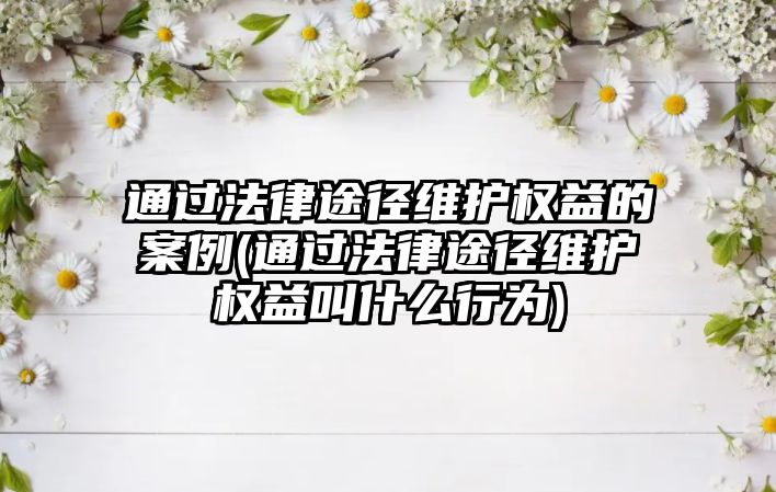 通過法律途徑維護權益的案例(通過法律途徑維護權益叫什么行為)