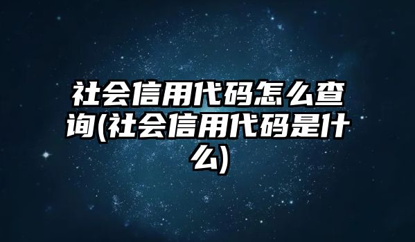 社會信用代碼怎么查詢(社會信用代碼是什么)