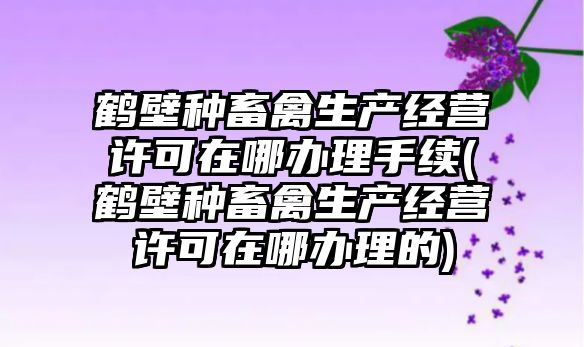 鶴壁種畜禽生產經營許可在哪辦理手續(鶴壁種畜禽生產經營許可在哪辦理的)