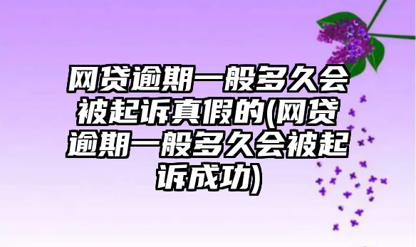 網(wǎng)貸逾期一般多久會(huì)被起訴真假的(網(wǎng)貸逾期一般多久會(huì)被起訴成功)