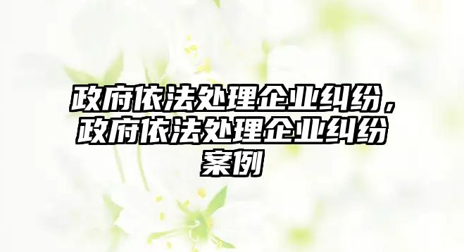 政府依法處理企業糾紛，政府依法處理企業糾紛案例