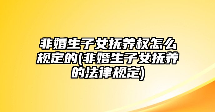 非婚生子女撫養權怎么規定的(非婚生子女撫養的法律規定)