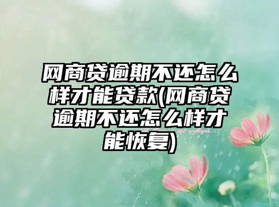 網商貸逾期不還怎么樣才能貸款(網商貸逾期不還怎么樣才能恢復)