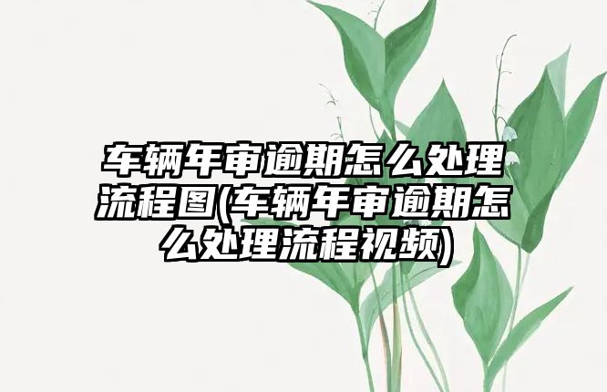 車輛年審逾期怎么處理流程圖(車輛年審逾期怎么處理流程視頻)