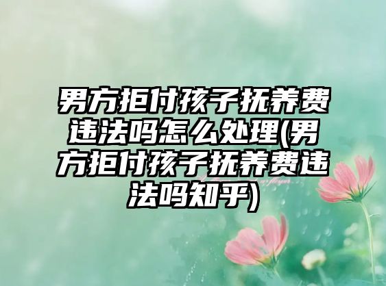 男方拒付孩子撫養(yǎng)費違法嗎怎么處理(男方拒付孩子撫養(yǎng)費違法嗎知乎)