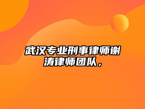 武漢專業(yè)刑事律師謝濤律師團(tuán)隊，