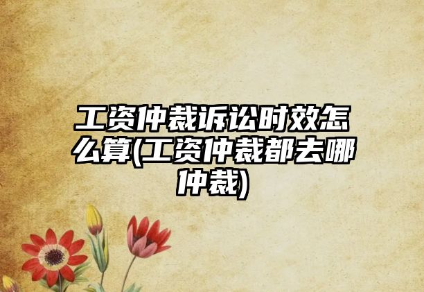 工資仲裁訴訟時效怎么算(工資仲裁都去哪仲裁)