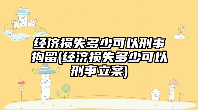 經濟損失多少可以刑事拘留(經濟損失多少可以刑事立案)