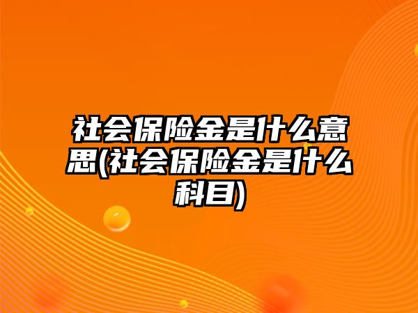 社會(huì)保險(xiǎn)金是什么意思(社會(huì)保險(xiǎn)金是什么科目)