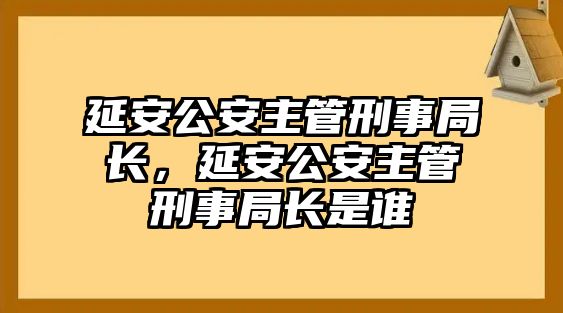 延安公安主管刑事局長，延安公安主管刑事局長是誰