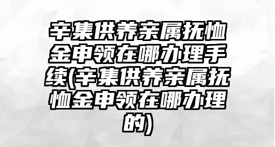 辛集供養親屬撫恤金申領在哪辦理手續(辛集供養親屬撫恤金申領在哪辦理的)