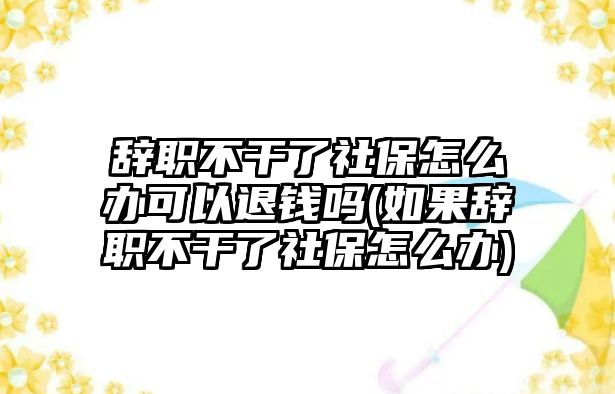 辭職不干了社保怎么辦可以退錢嗎(如果辭職不干了社保怎么辦)