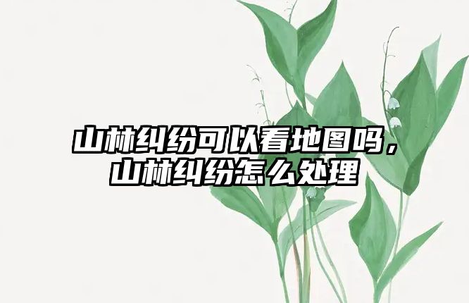 山林糾紛可以看地圖嗎，山林糾紛怎么處理