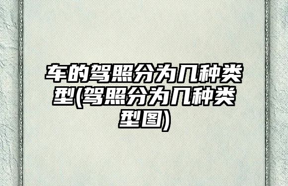 車的駕照分為幾種類型(駕照分為幾種類型圖)