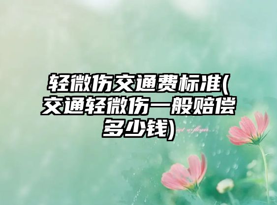 輕微傷交通費標(biāo)準(zhǔn)(交通輕微傷一般賠償多少錢)