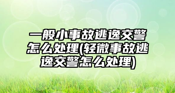 一般小事故逃逸交警怎么處理(輕微事故逃逸交警怎么處理)